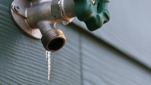 Best Shower Repair Services  in Gray Summit, MO